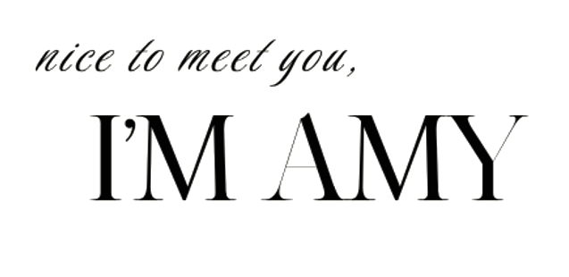 nice to meet you, I'm Amy